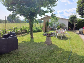 Relax in Campagna - Mugello Circuit Scarperia